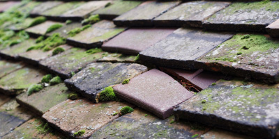 Toddington roof repair costs